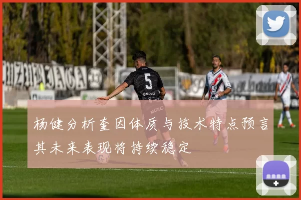 杨健分析奎因体质与技术特点预言其未来表现将持续稳定